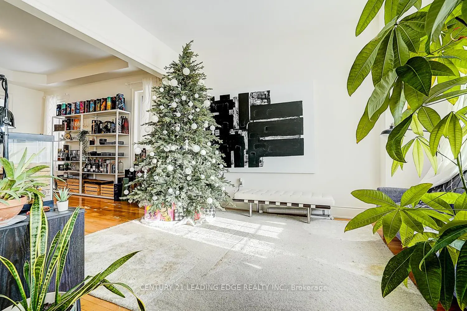 Additional image 9 of 455 Threshing Mill Boulevard