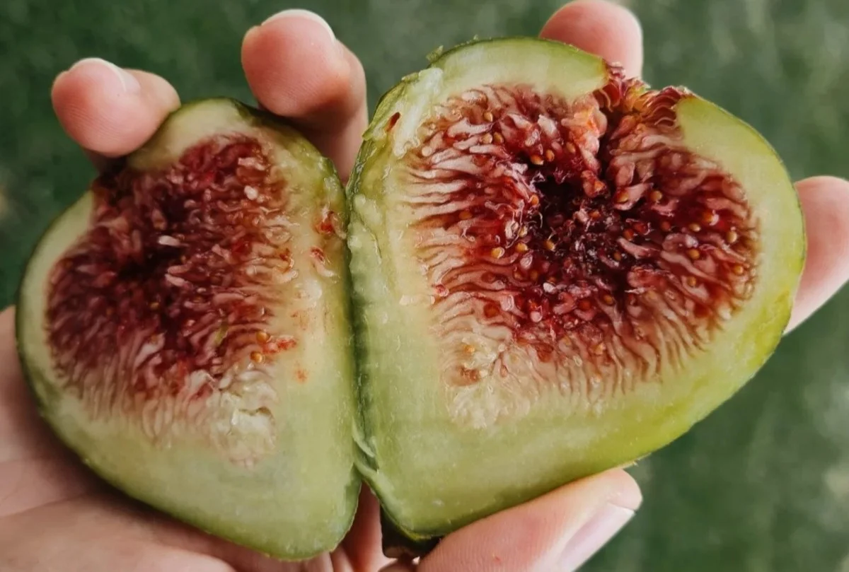 Additional image 24 of 46 Lachlan Street, Bigga, Crookwell NSW 2583