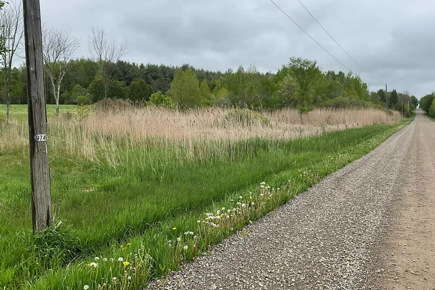 Additional image 9 of 5169 First Line