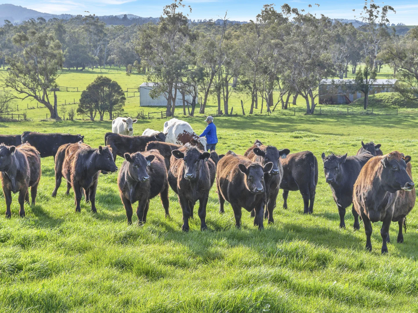 Additional image 20 of 140 Seymour Road, Nar Nar Goon VIC 3812