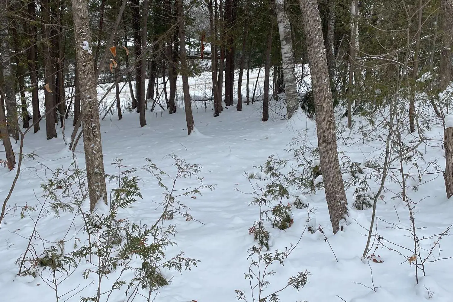 Additional image 6 of Ptlt 37 Trent View Drive