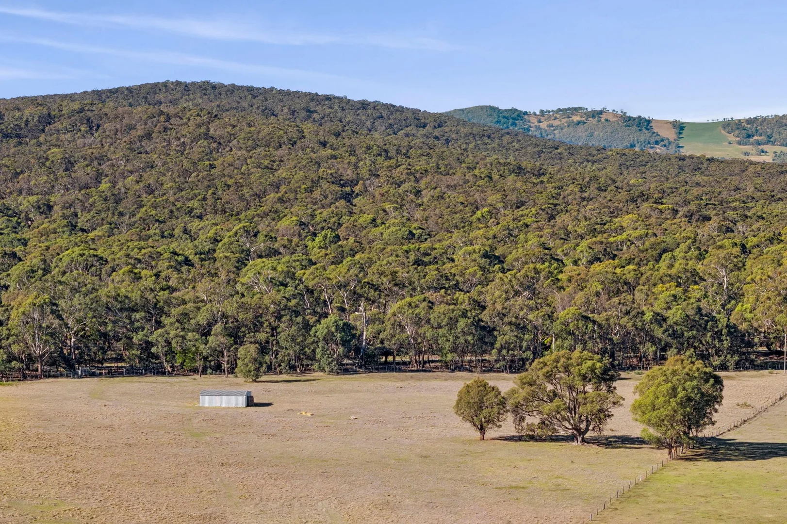 Additional image 5 of 381 Burke and Wills Track, Lancefield VIC 3435