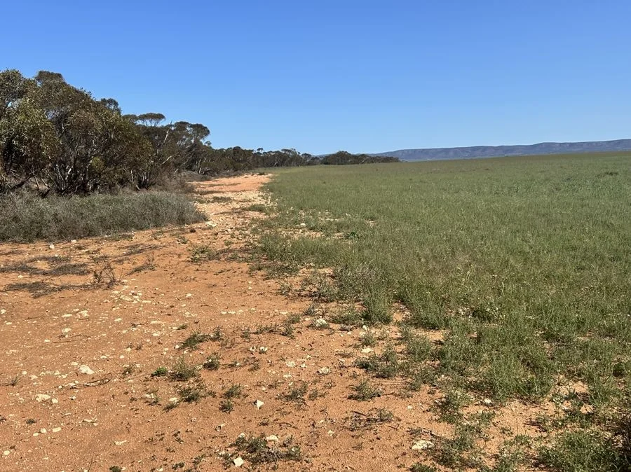 Additional image 5 of Section 114 264 Philips Road, Minbrie SA 5602