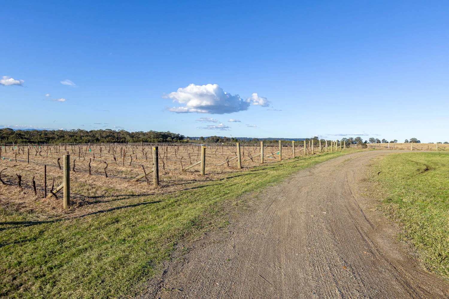 Additional image 24 of 463 Deasys Road, Pokolbin NSW 2320