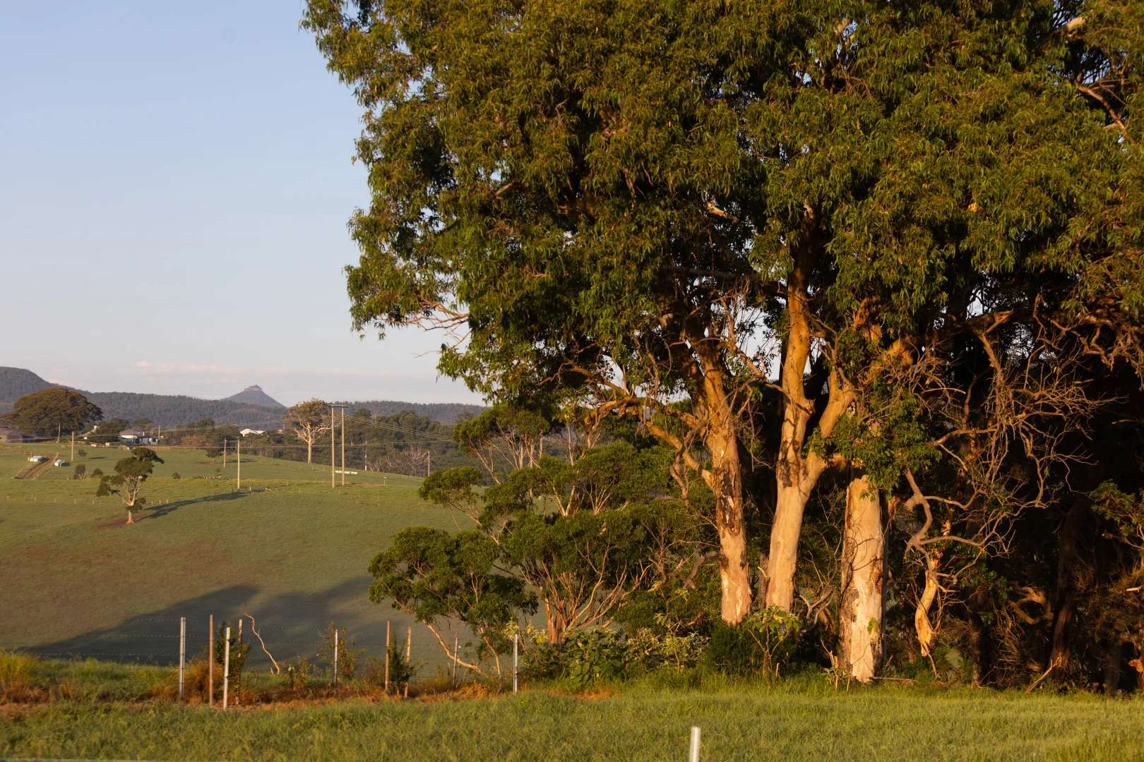 Additional image 9 of Lot 103, E299A Princes Highway (via Milton), Yatte Yattah NSW 2539