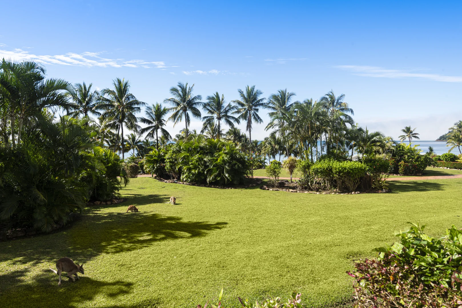 Additional image 23 of WHA CA002/14 Resort Drive, Hamilton Island QLD 4803