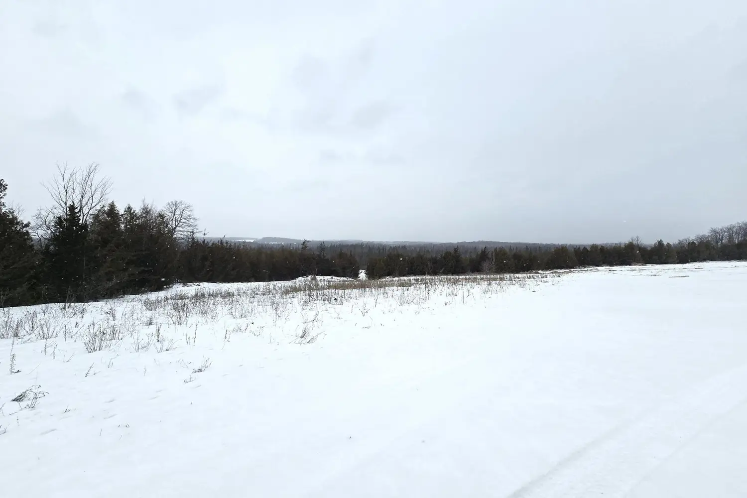 Additional image 15 of 0 Shannonville Road