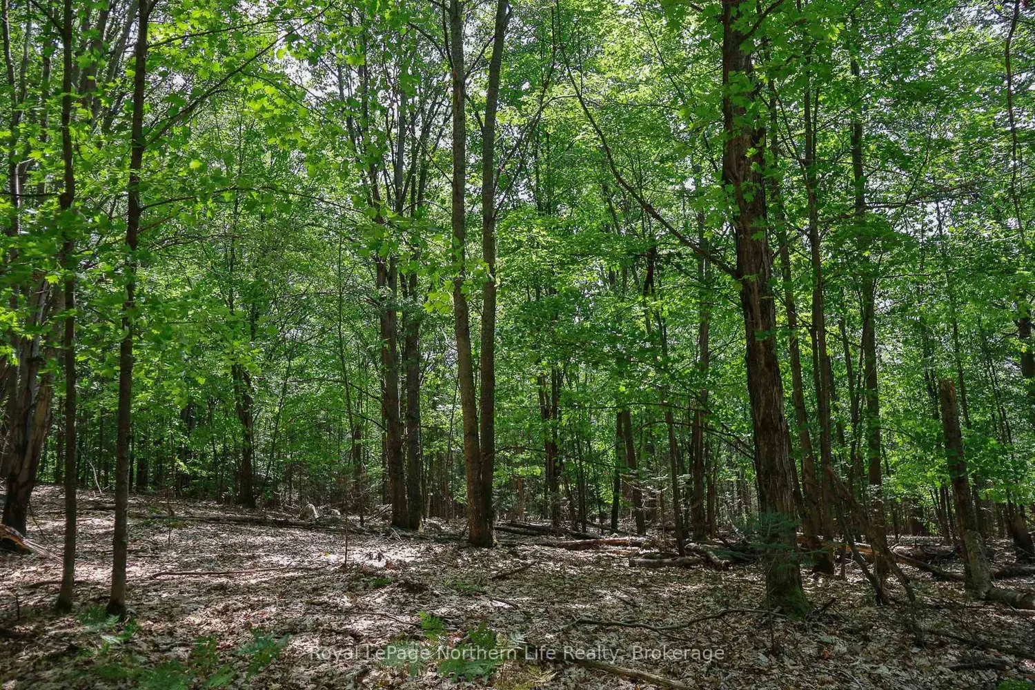 Additional image 3 of Lot 12 South Shore Road