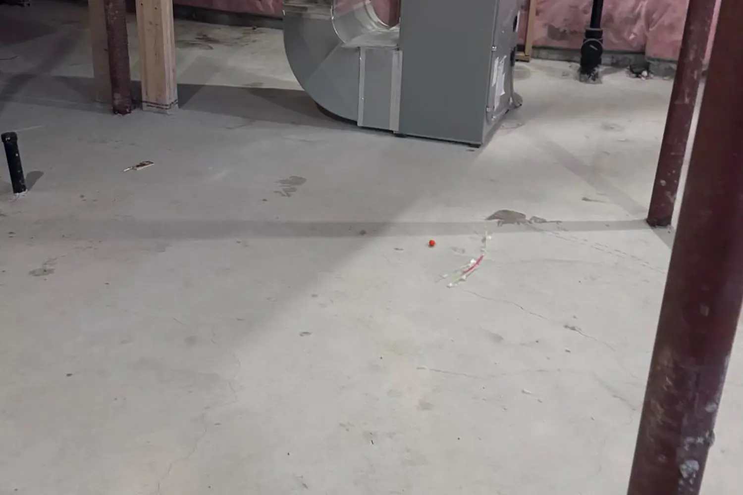 Additional image 12 of 1222 Plymouth Drive