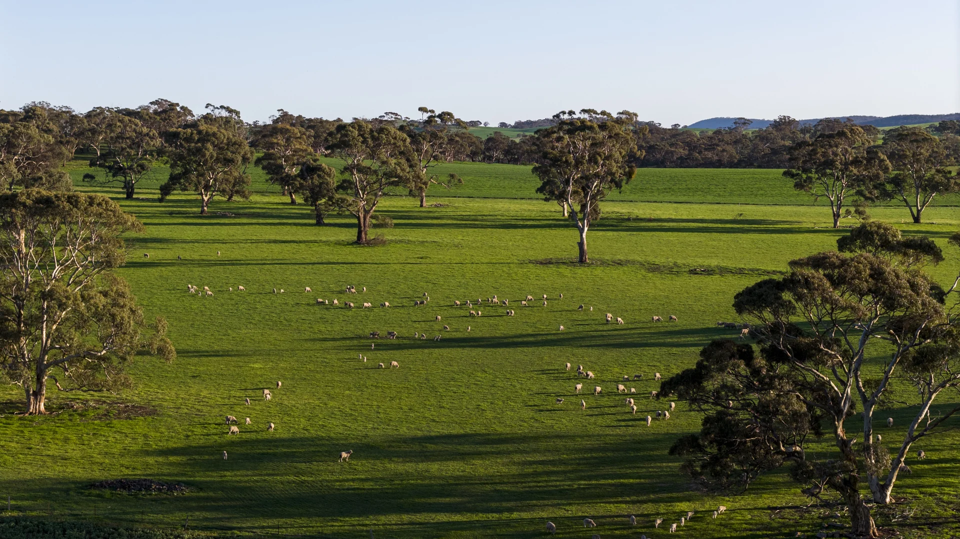 Additional image 25 of 829 Anlaby Road, Hamilton SA 5373