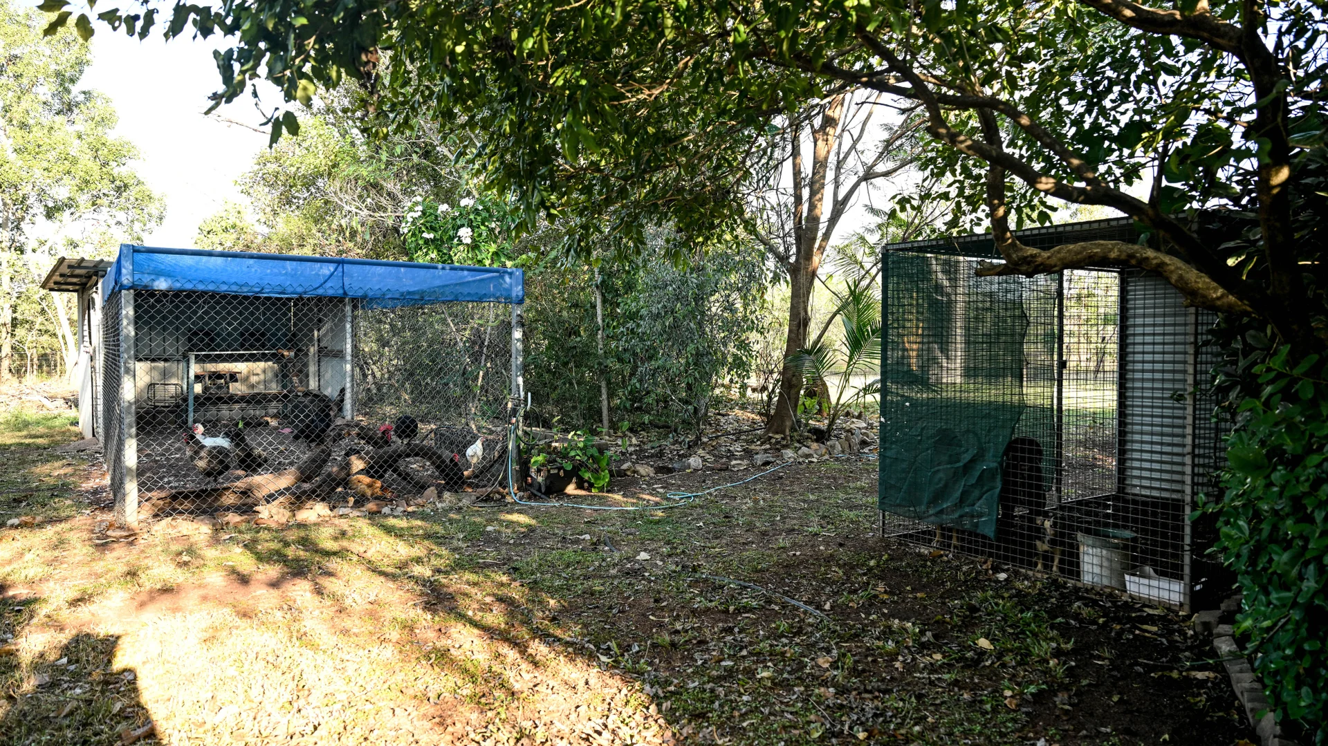 Additional image 32 of 729 Reebeds Road, Darwin River NT 0841