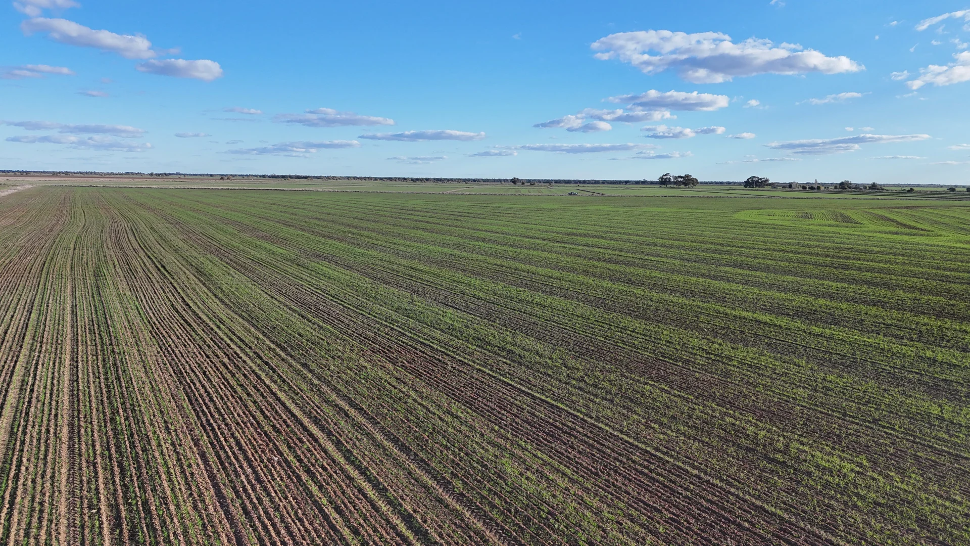 Additional image 20 of Farm 205/347 Fairlie Grange Road, Coleambally NSW 2707