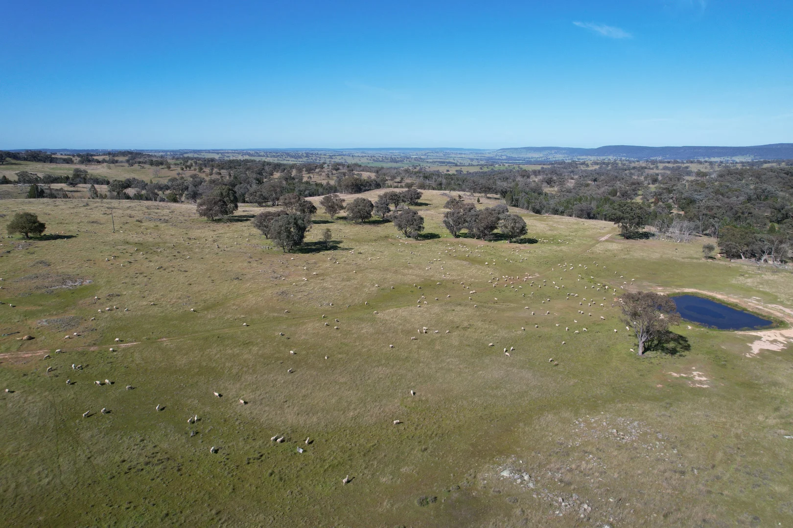 Additional image 14 of 424 Trebane Road, Crowther NSW 2803