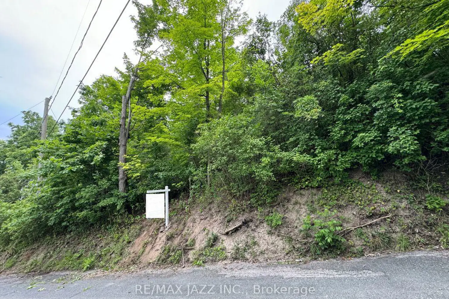 Additional image 7 of 0 Maple Street