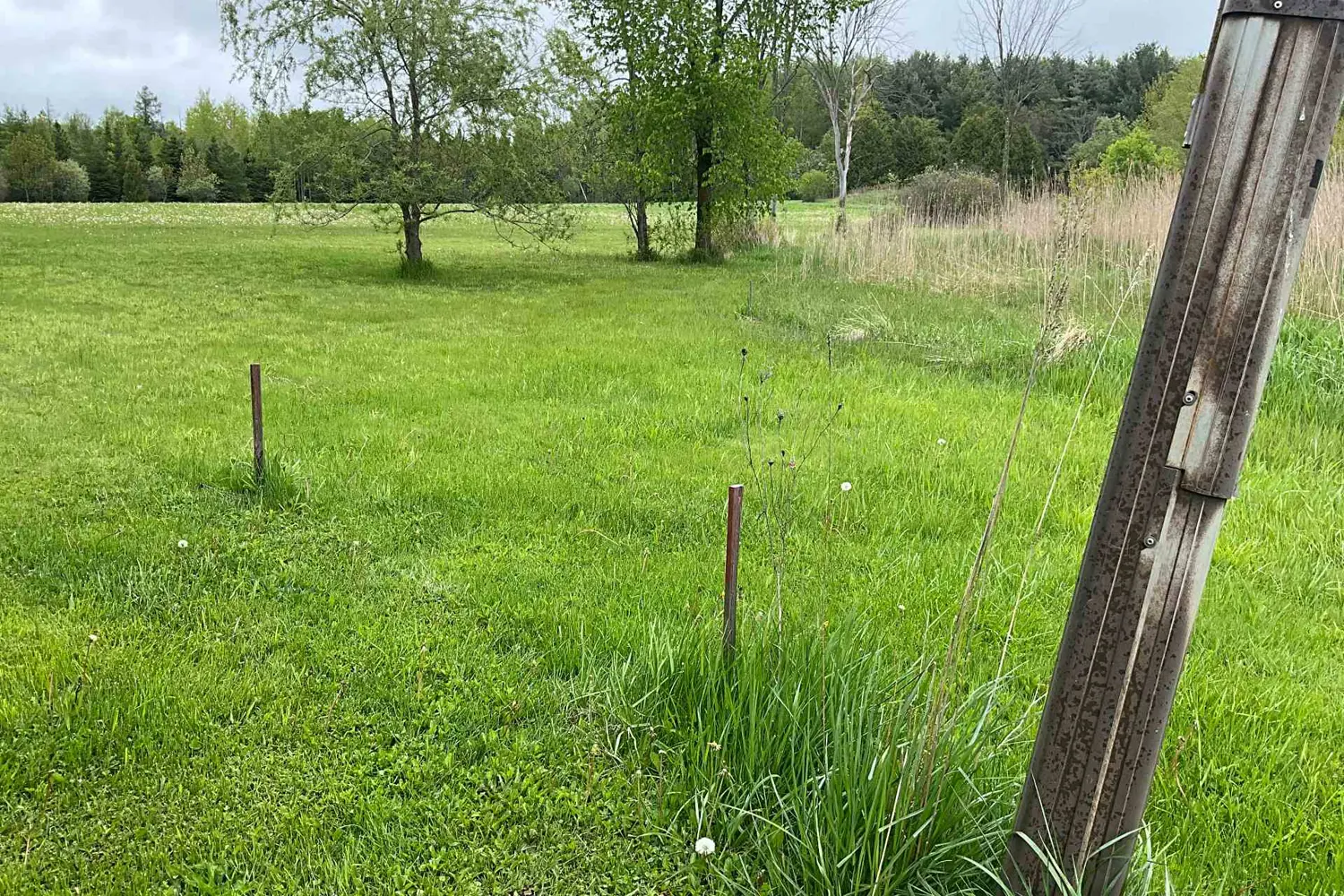 Additional image 6 of 5169 First Line