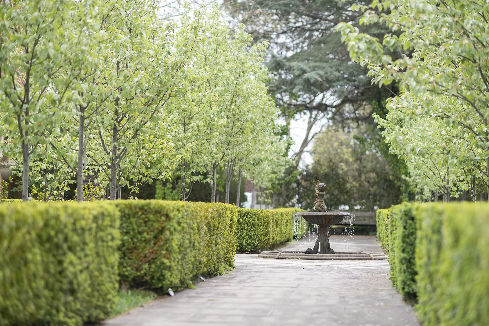 Additional image 4 of 1 Park Lane, Braidwood NSW 2622