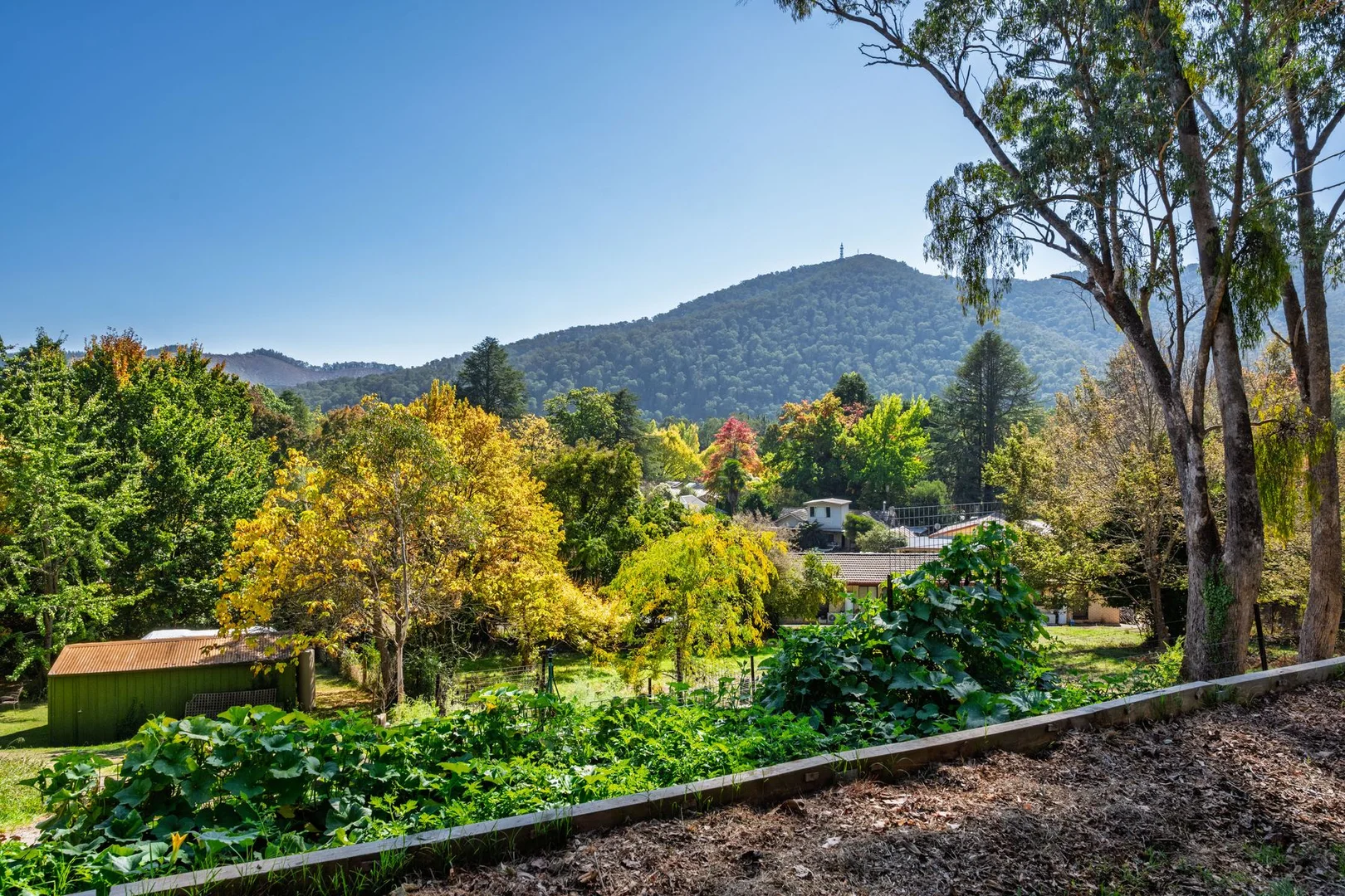 Additional image 36 of 22 Alrima Court, Bright VIC 3741