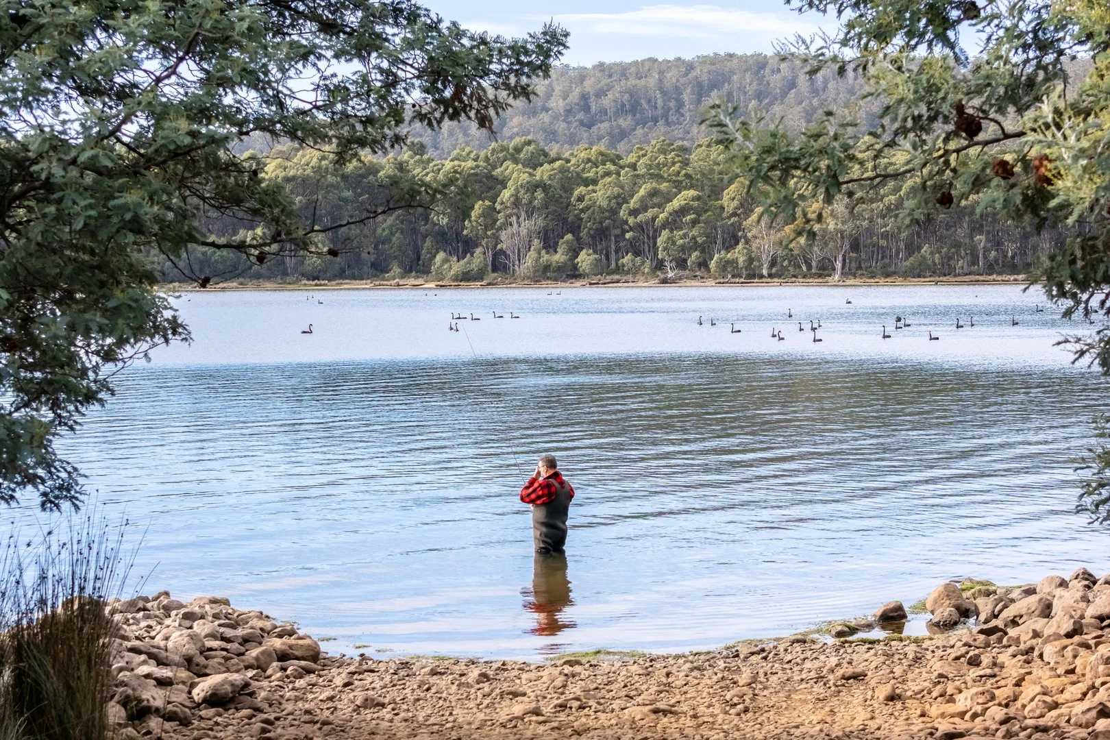 1 & 2/172 Woodwards Bay Road, Bradys Lake TAS 7140