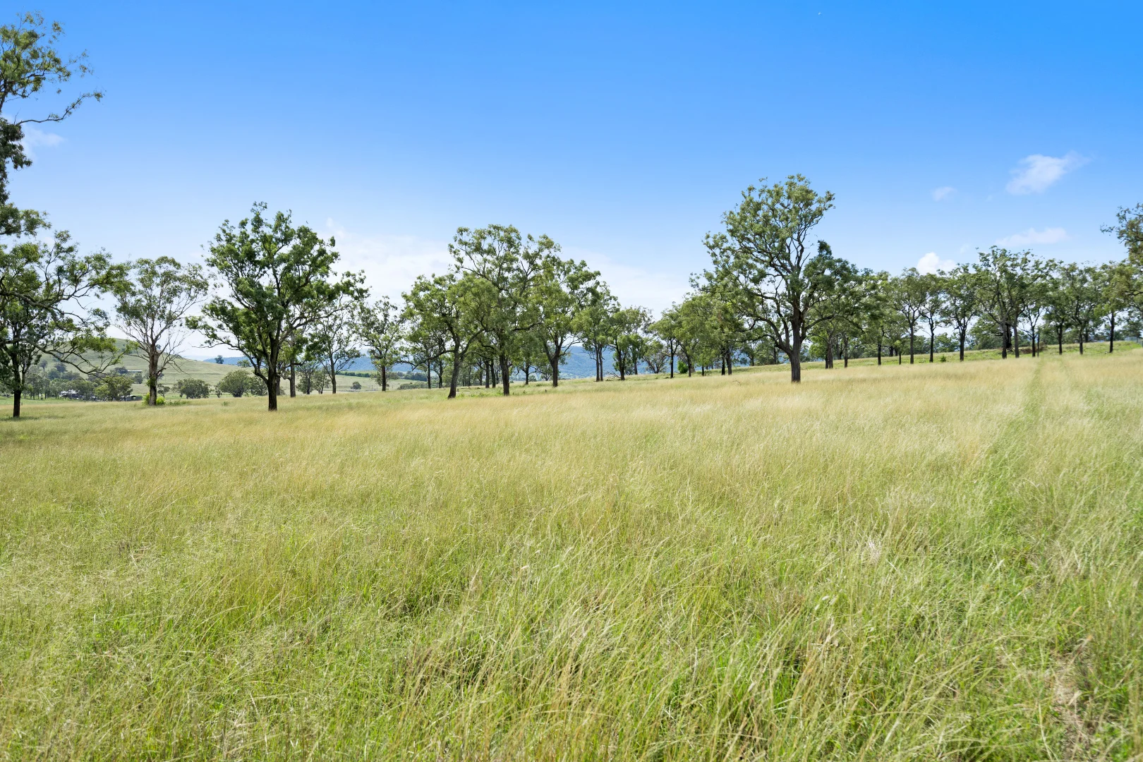 Additional image 14 of Bakewell Circuit, Scone NSW 2337