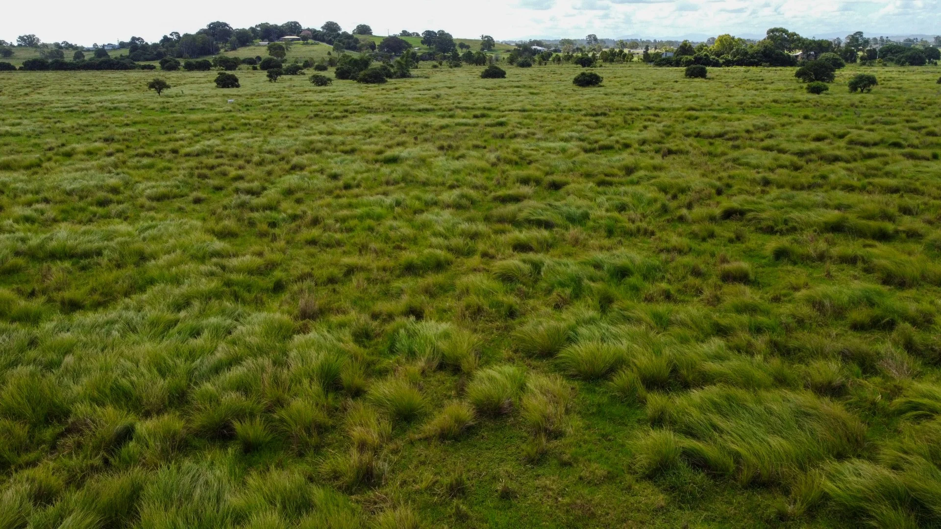 Additional image 3 of 1775 Casino Coraki Road, Coraki NSW 2471