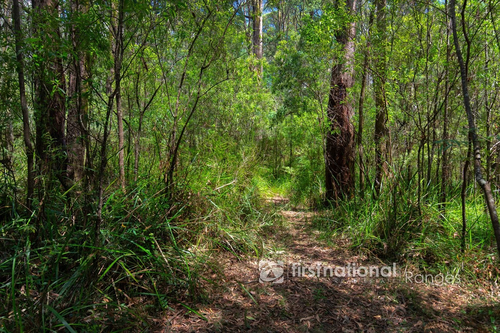 Additional image 7 of 2780 Gembrook-Launching Place Road, Gembrook VIC 3783