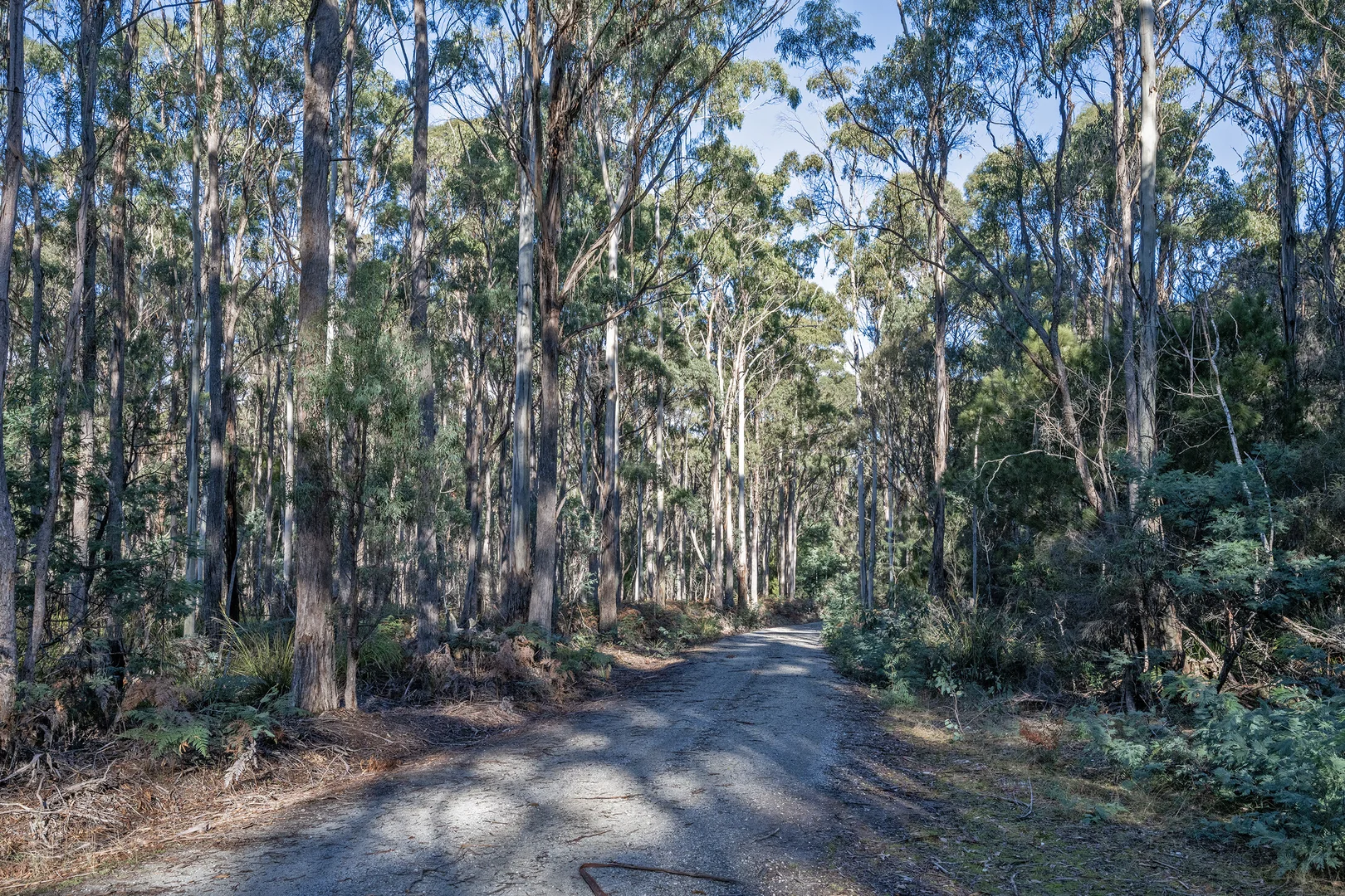 Additional image 13 of . Frankford Road, Harford TAS 7307