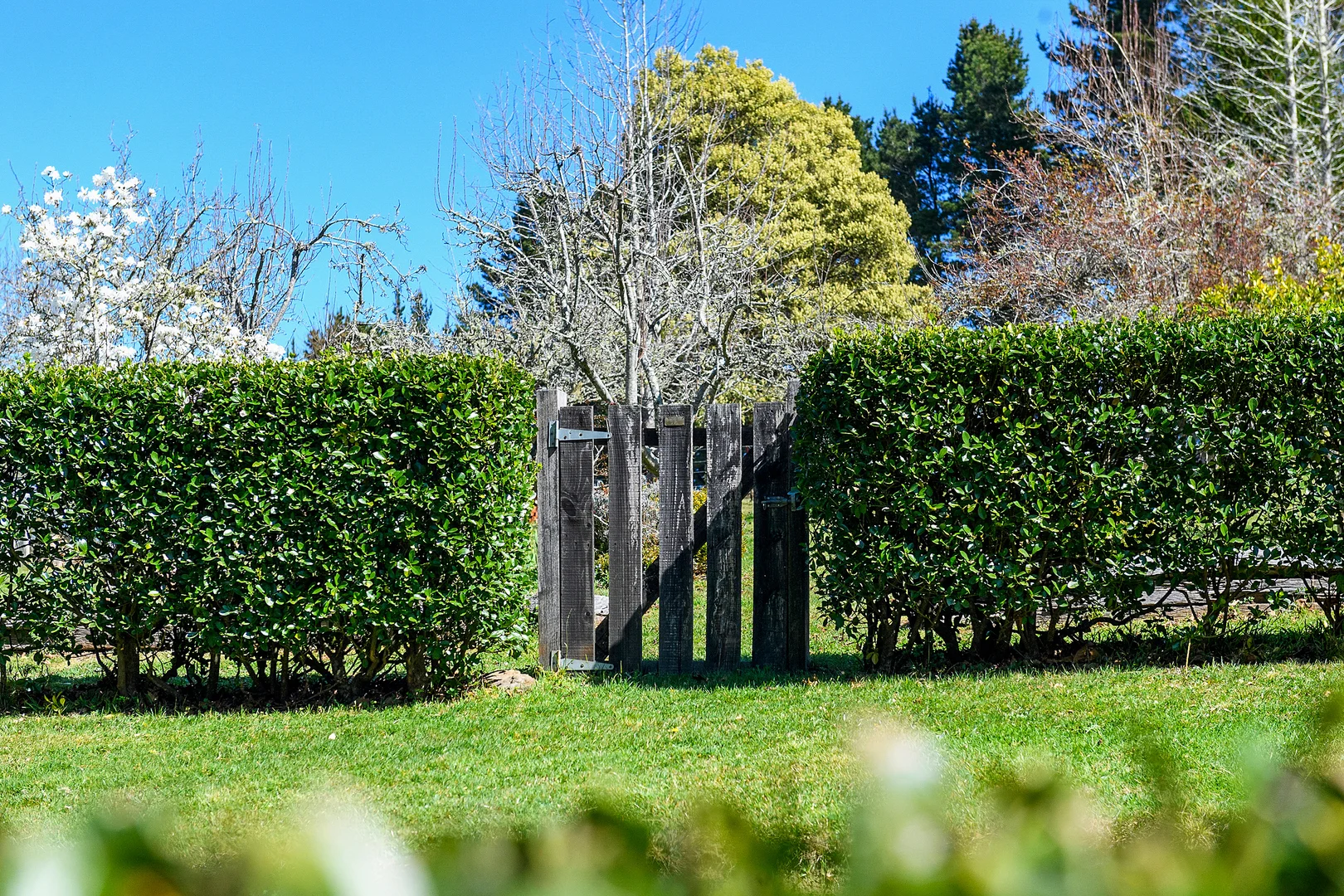 Additional image 8 of 51 & 53 Shierlaw Road, Robertson NSW 2577