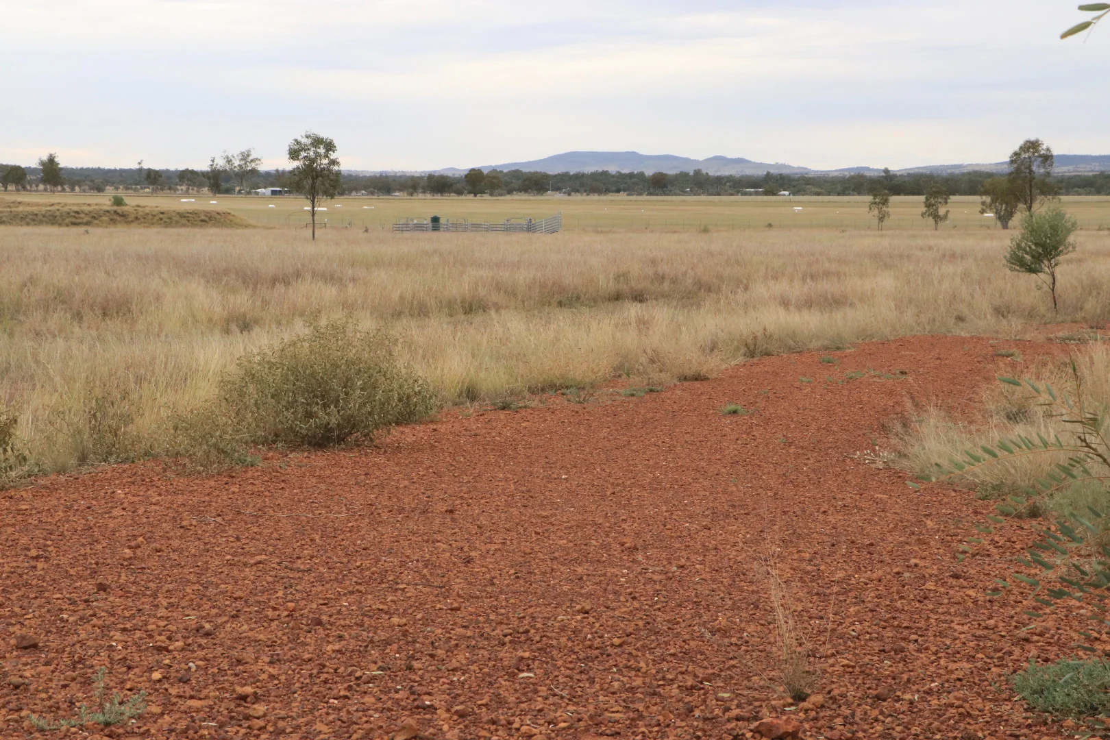 Additional image 5 of Ona Ona Road, Roma QLD 4455