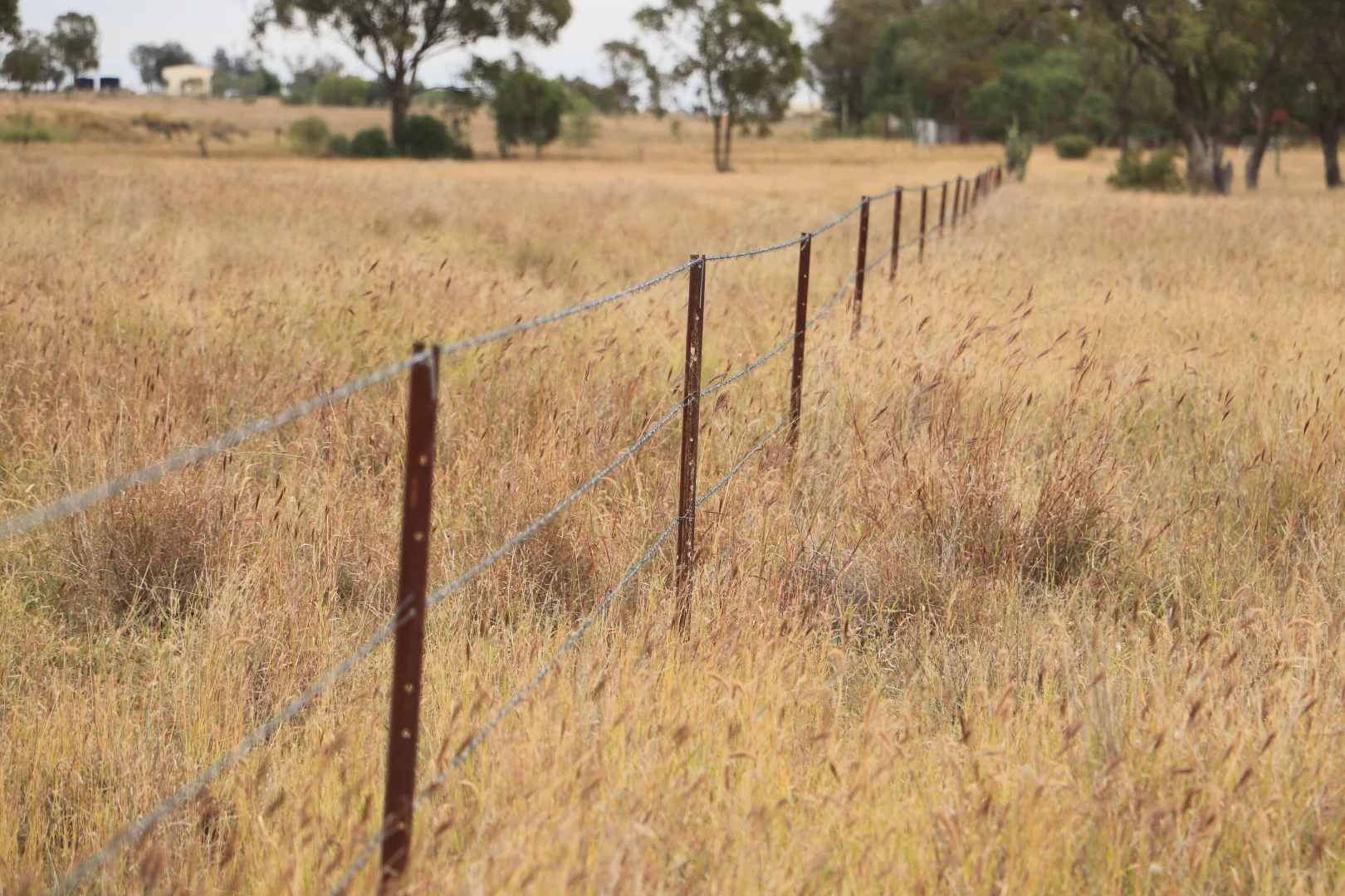 Additional image 16 of Ona Ona Road, Roma QLD 4455