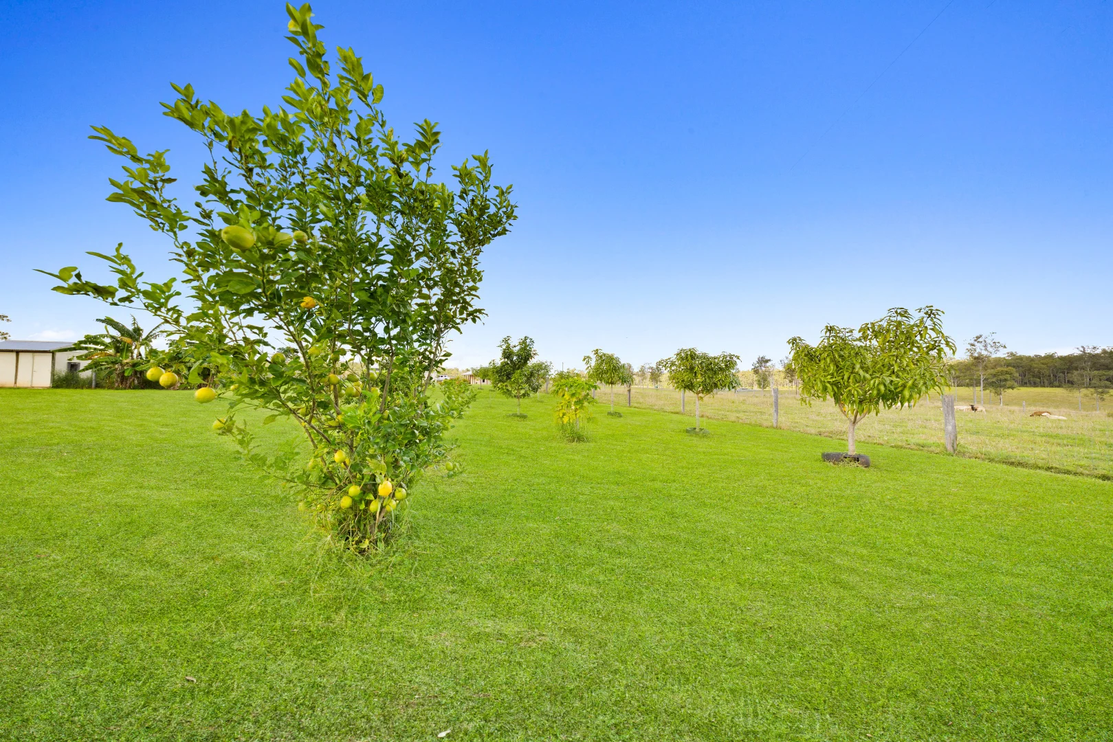 Additional image 31 of 667 Beckmanns Road, Glenwood QLD 4570