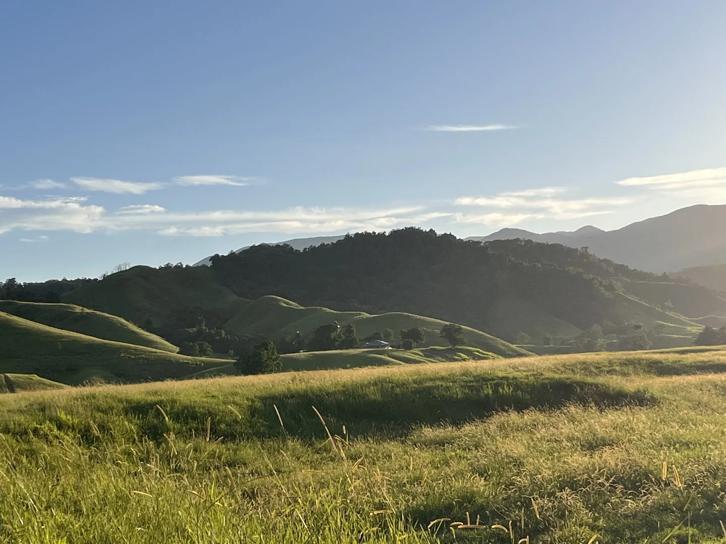 Additional image 20 of 18-20 Dagmar Street, Daintree QLD 4873