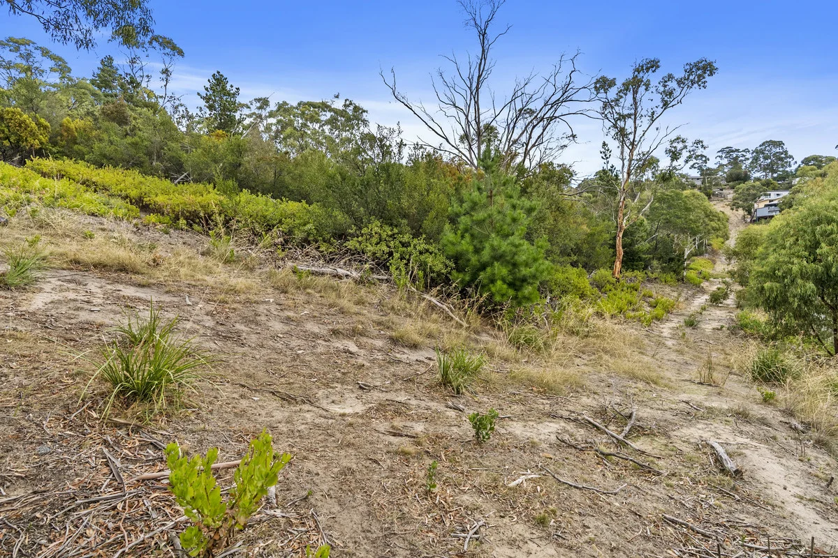 Additional image 11 of 20 Officer Street, Rosetta TAS 7010