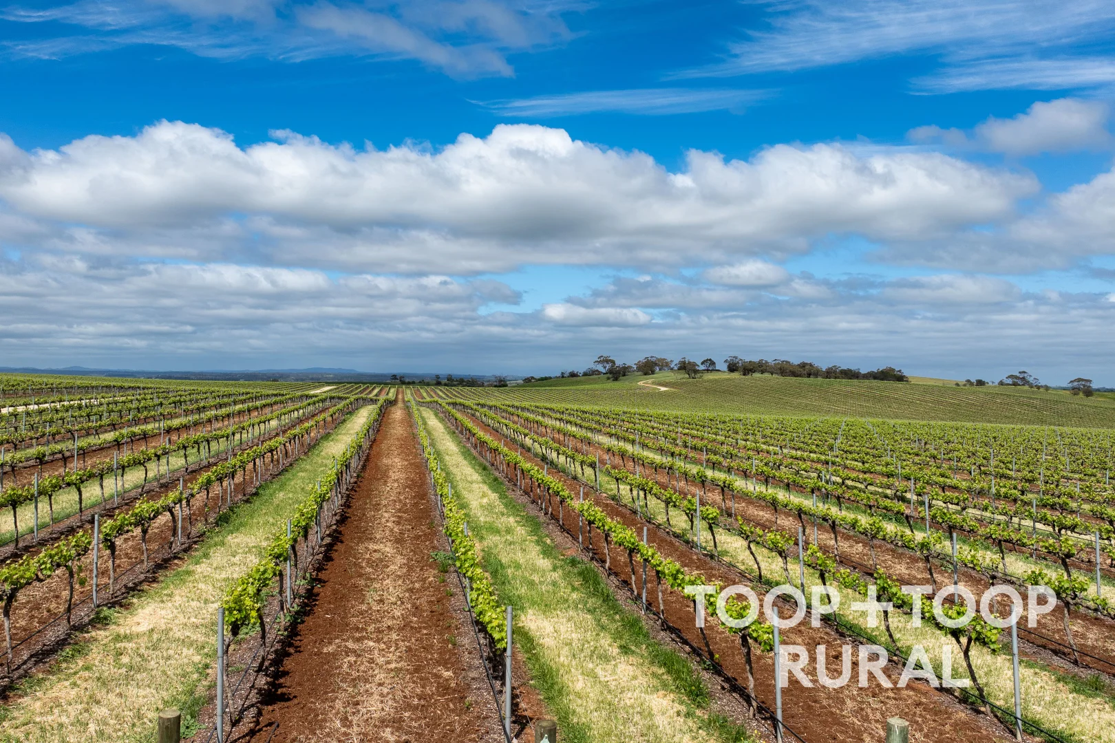 Additional image 34 of 87 Sir Condor Laucke Way, Greenock SA 5360