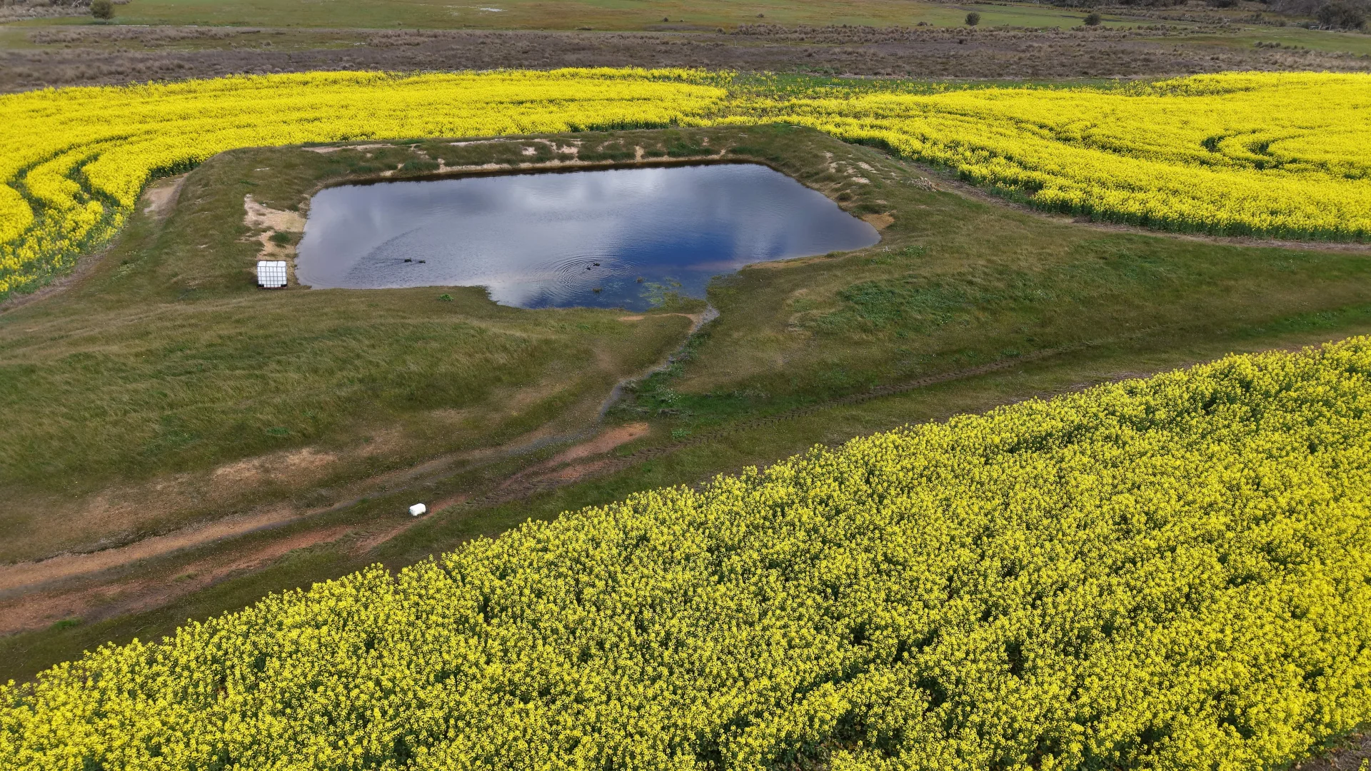 Additional image 11 of 171 Kwornicup Road, Forest Hill WA 6324