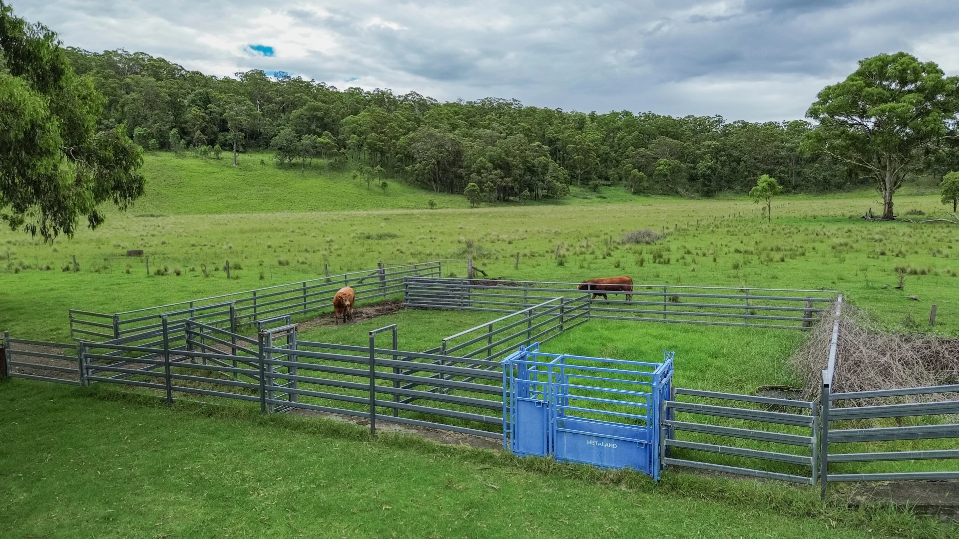 Additional image 25 of 80 Tooloom Street, Legume NSW 2476