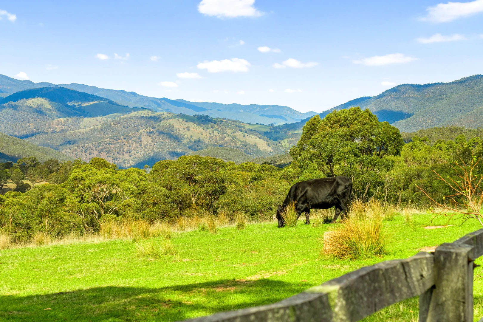 Additional image 13 of 1 Middle Ridge Road, Licola North VIC 3858