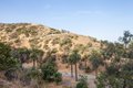 Additional image 40 of 445 N Rossmore Ave, Los Angeles, CA, 90004