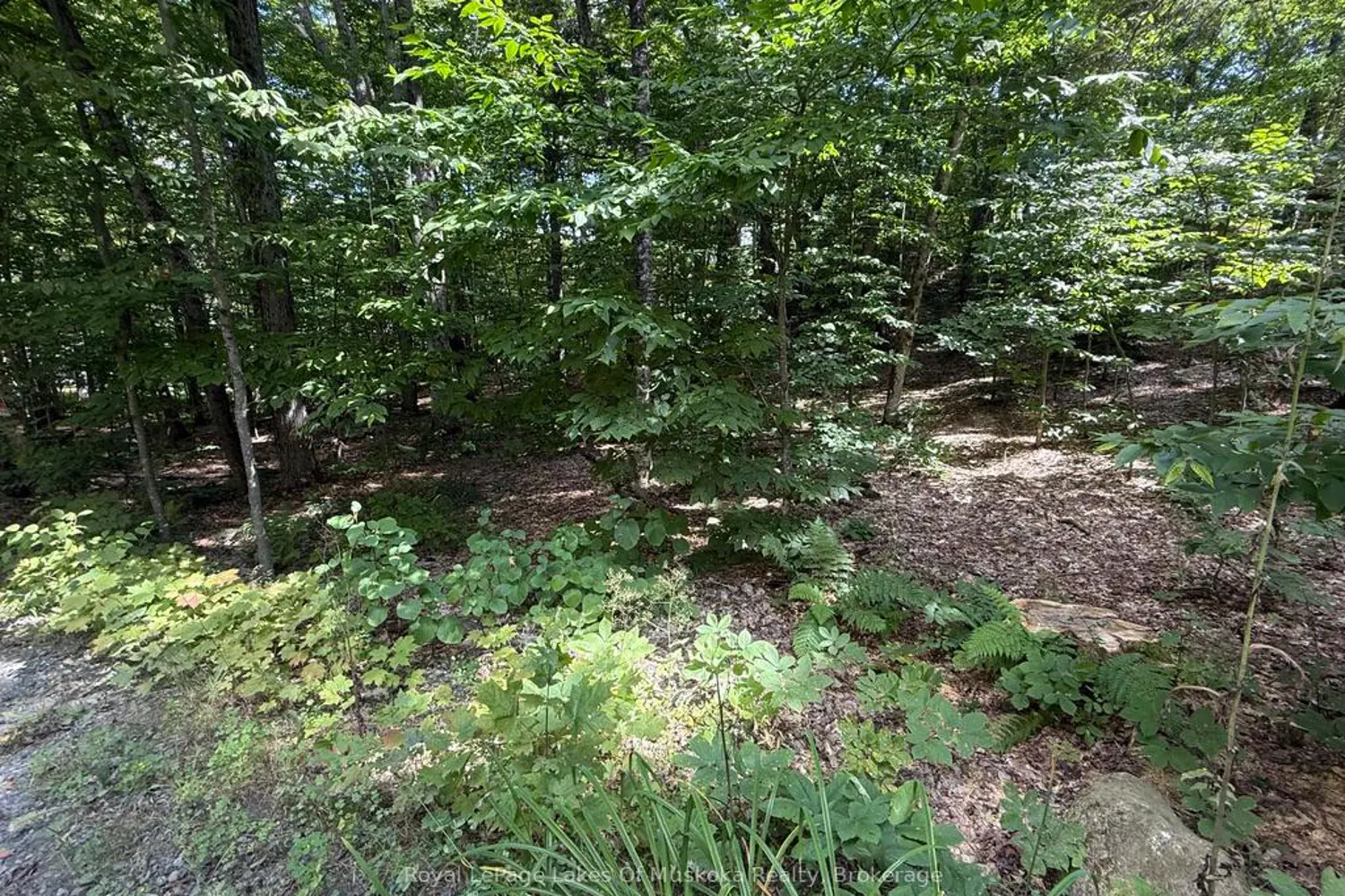 Lot 85 Brennan Circle