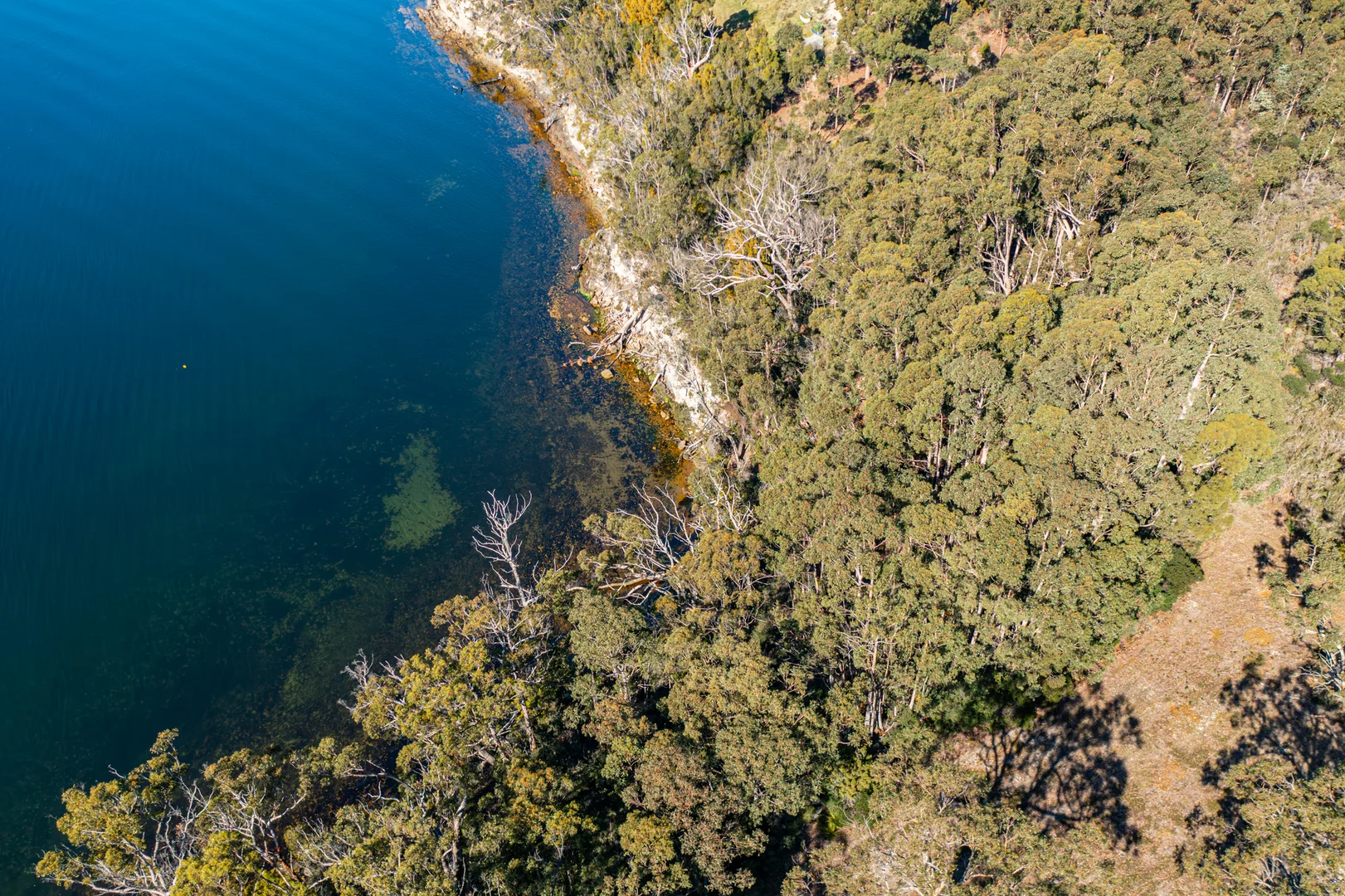 Additional image 10 of 287 Esperance Coast Road, Brooks Bay TAS 7116