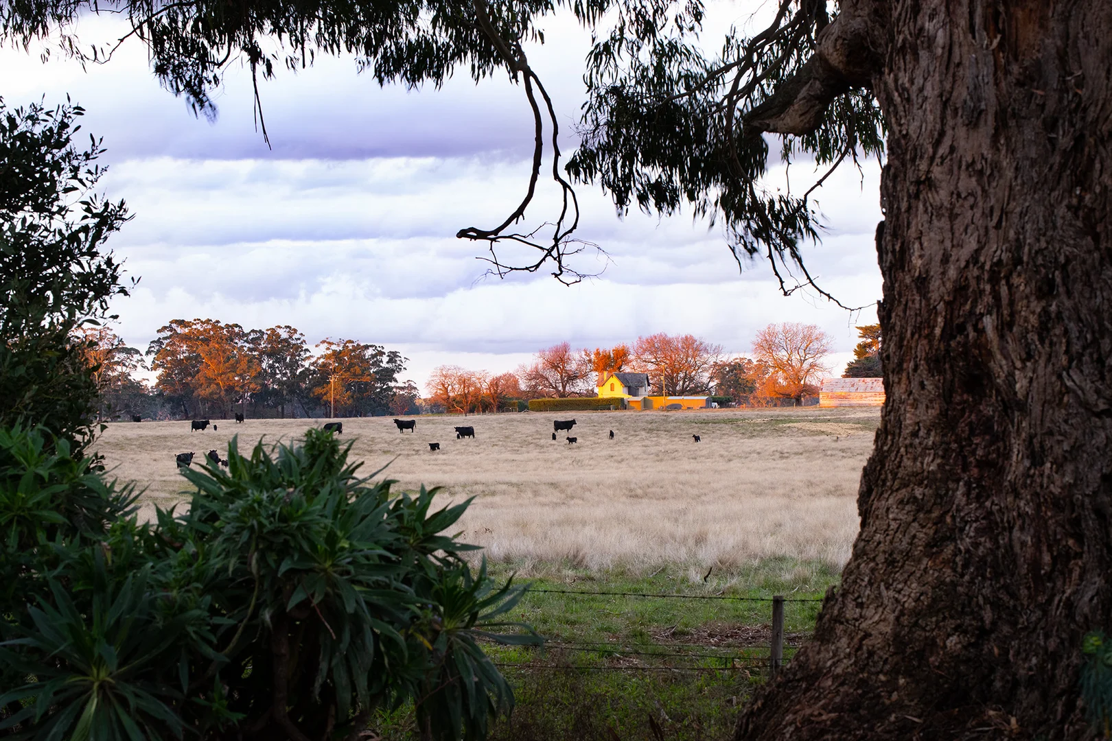 Additional image 30 of 14A Malmsbury Road, Daylesford VIC 3460