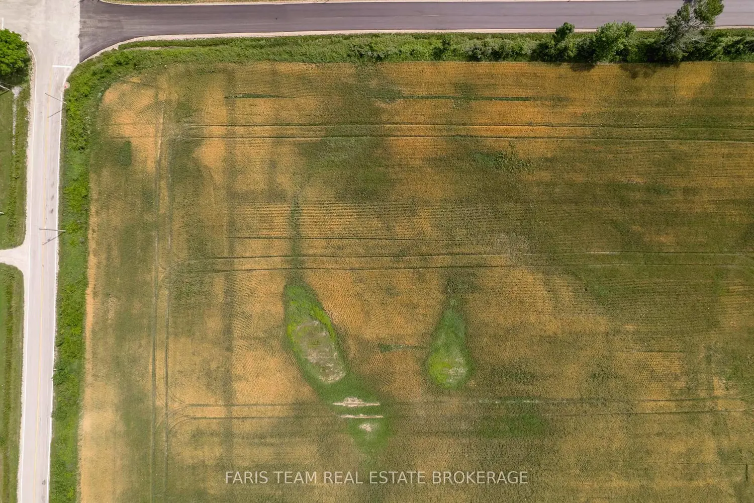 Additional image 6 of 1511 Tay Point Road