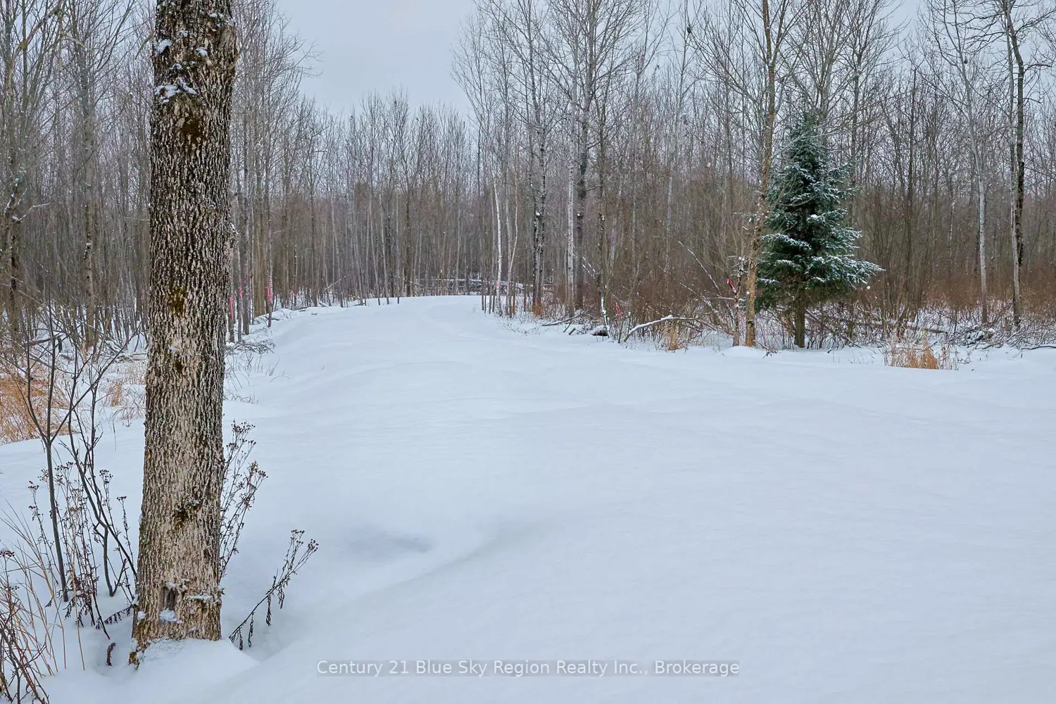 Additional image 3 of 249 Hills Siding Road