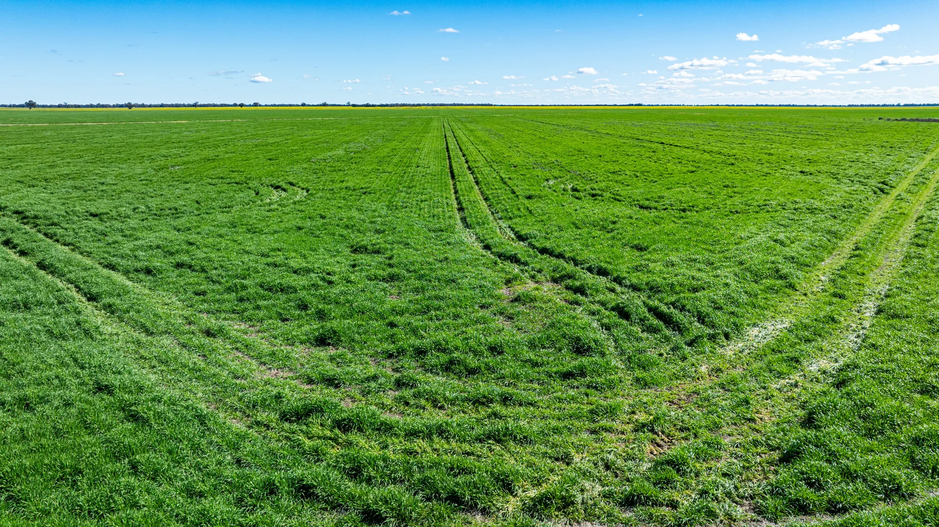 Additional image 31 of 119 Oak Lodge Rd, Sanger NSW 2646