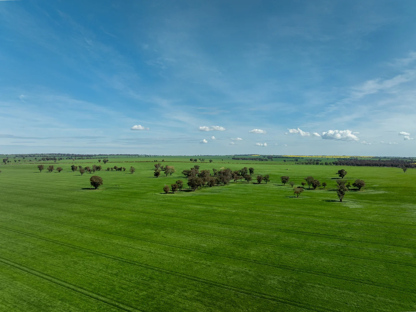 Additional image 19 of 90 Kilnyana Road, Savernake NSW 2646