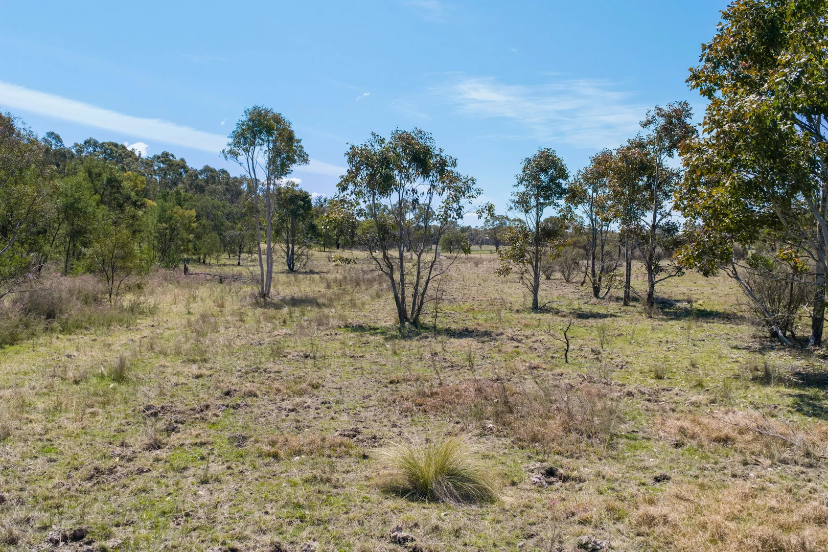 Additional image 6 of 868 Jerrara Rd, Marulan NSW 2579