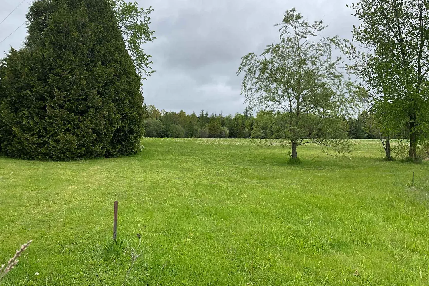 Additional image 4 of 5169 First Line