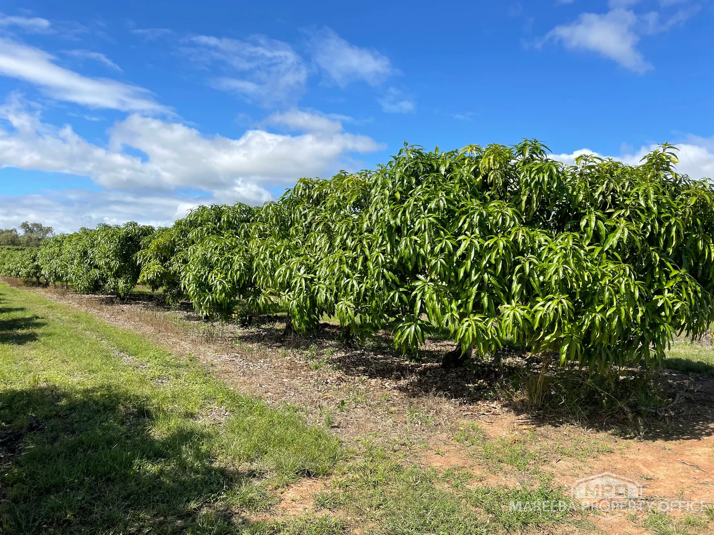 Additional image 8 of 446 Chewko Road, Mareeba QLD 4880