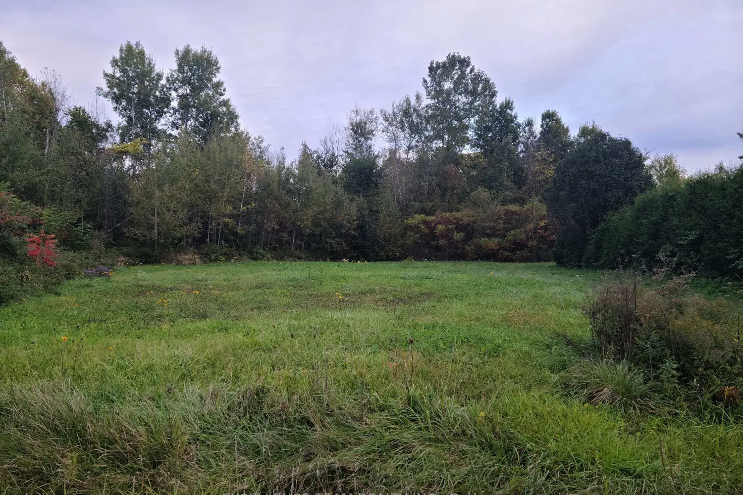 Additional image 3 of Lot #33 Crows Nest Road