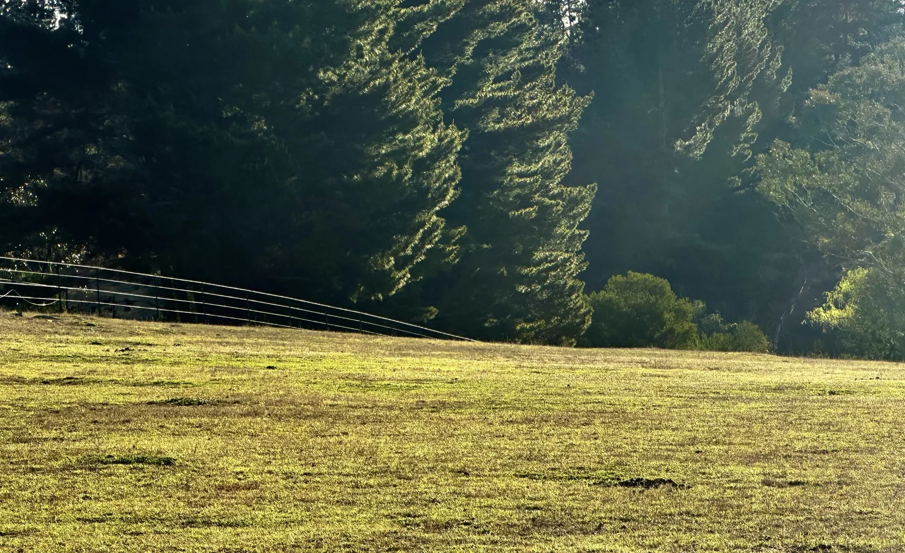 Additional image 28 of 489 Jacqua Rd, Windellama NSW 2580