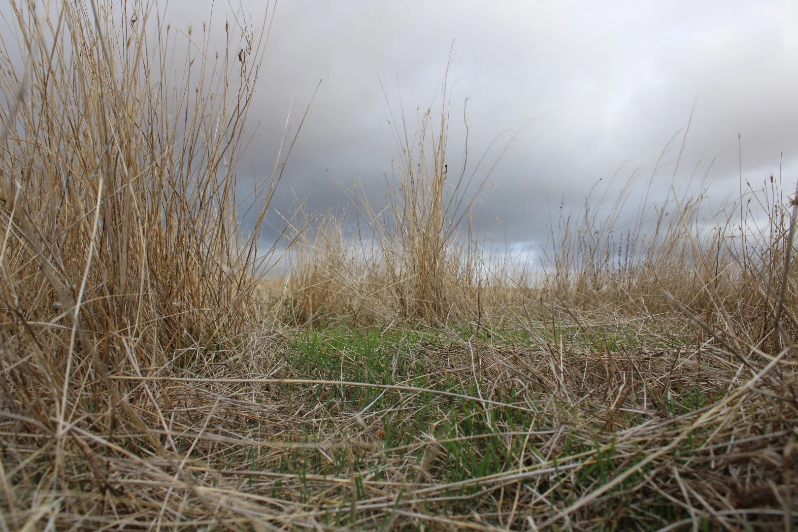 Additional image 55 of 1860 Cleary Road, Terowie SA 5421